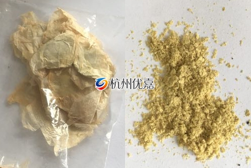 如何利用宋慈高通量多樣品組織研磨儀研磨植物組織？