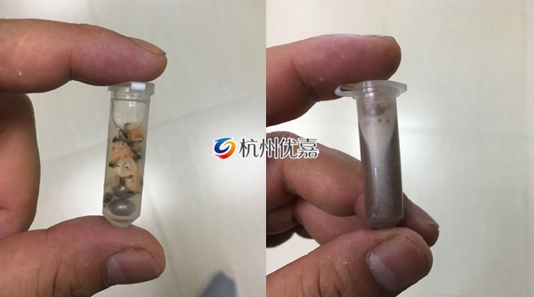 宋慈高通量多樣品組織研磨儀研磨植物過(guò)程詳解