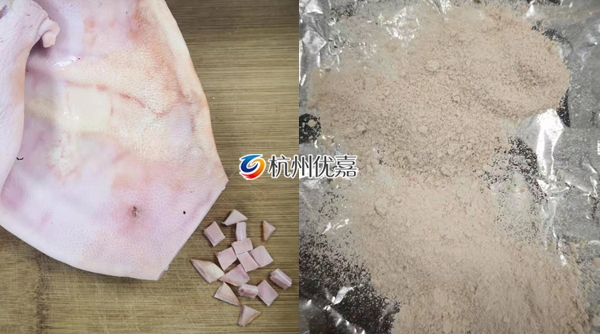 宋慈多樣品研磨儀對豬耳朵進(jìn)行干磨提取DNA