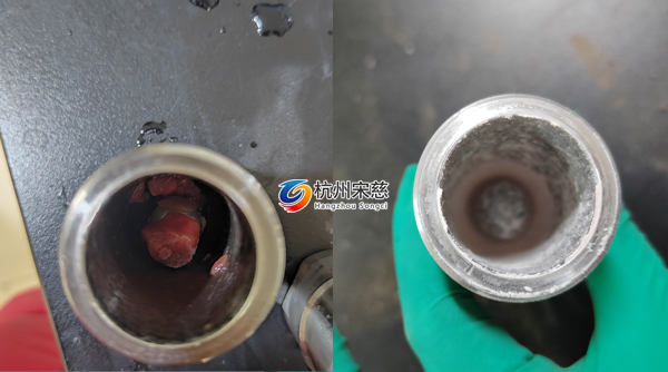 多樣品組織研磨儀在豬心臟分子機制研究中的高效應(yīng)用