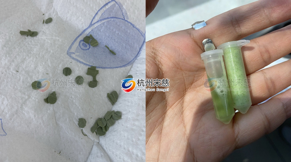 杭州宋慈高通量組織研磨儀對(duì)植物葉片研磨效果